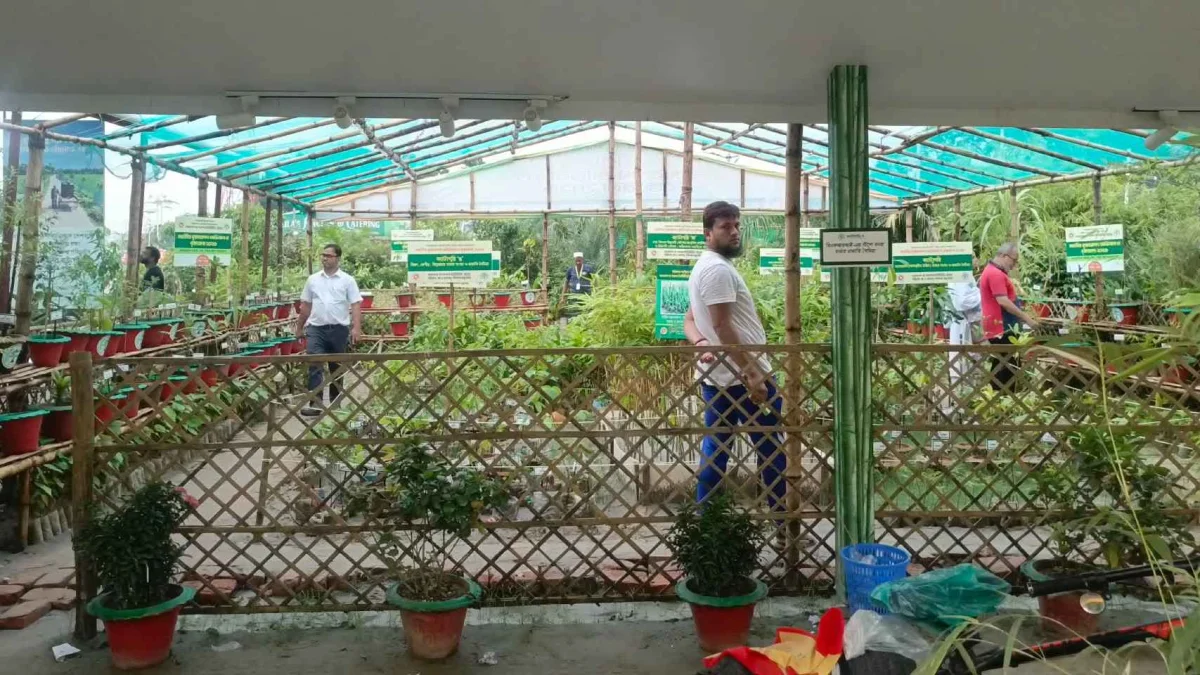 বৃক্ষমেলায় ১০ টাকায় বিলুপ্তপ্রায় প্রজাতির দুর্লভ গাছ কেনার সুযোগ