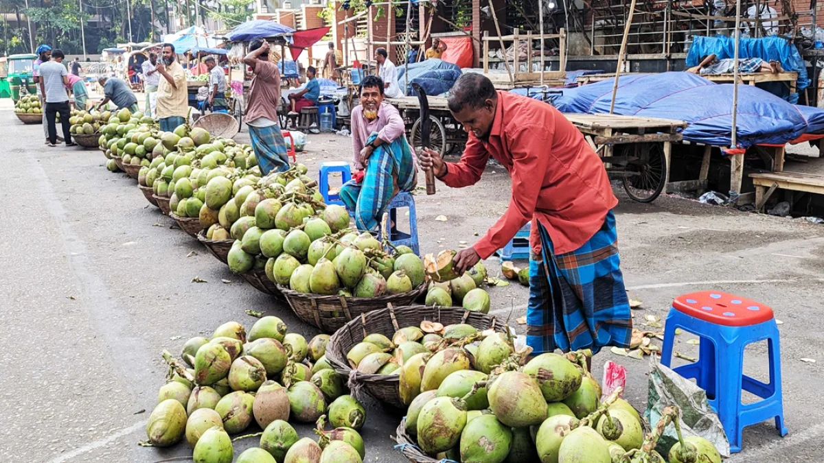 ‘ডাবল সেঞ্চুরি’ করল ডাব, ভোক্তাদের ক্ষোভ