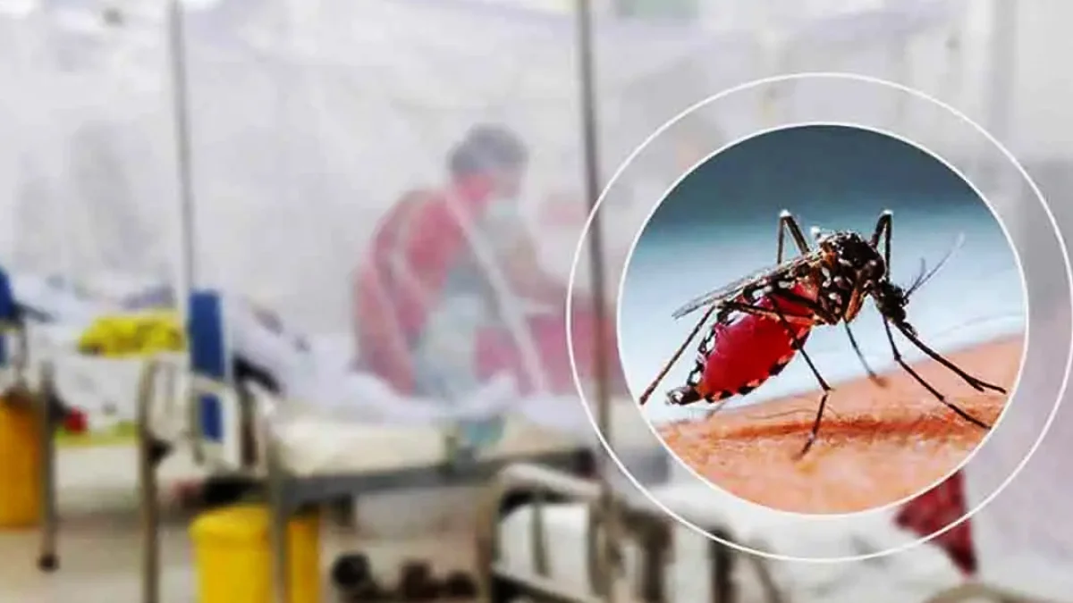 ডেঙ্গুতে আরও ৪ জনের মৃত্যু, হাসপাতালে ১১৬৩