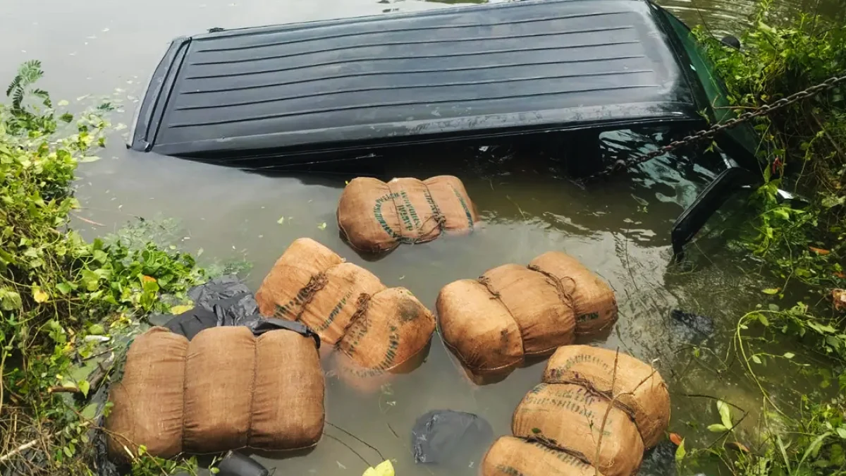 ধাওয়া খেয়ে পুকুরে মাইক্রোবাস, ভেসে উঠল ৯ বস্তা গাঁজা