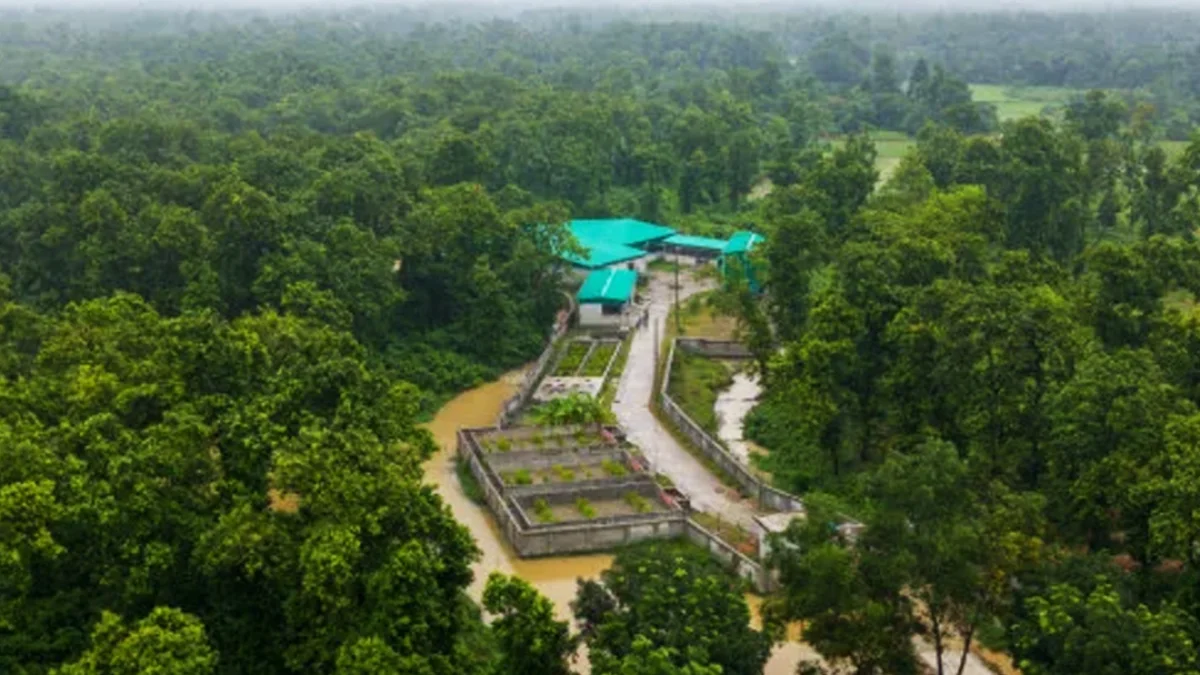 শালবনের ভেতর গড়ে উঠছে বর্জ্য শোধনাগার