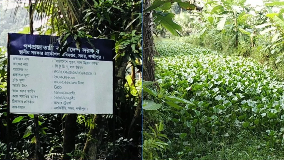 খাল খনন না করেই ৩০ লাখ টাকার বিল!