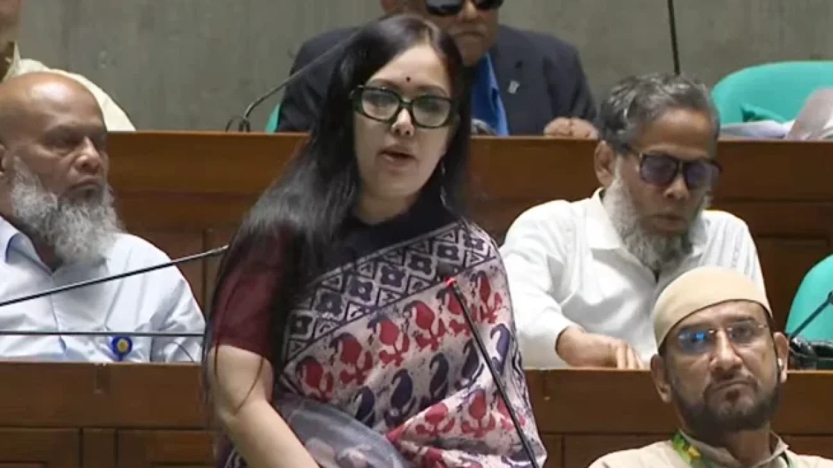 সংসদ সদস্যরা আমাকে অকথ্য ভাষায় গালাগালি করেছেন: রুমিন ফারহানা