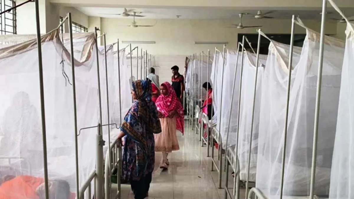 ২৪ ঘণ্টায় ডেঙ্গুতে আরও ৩ জনের মৃত্যু