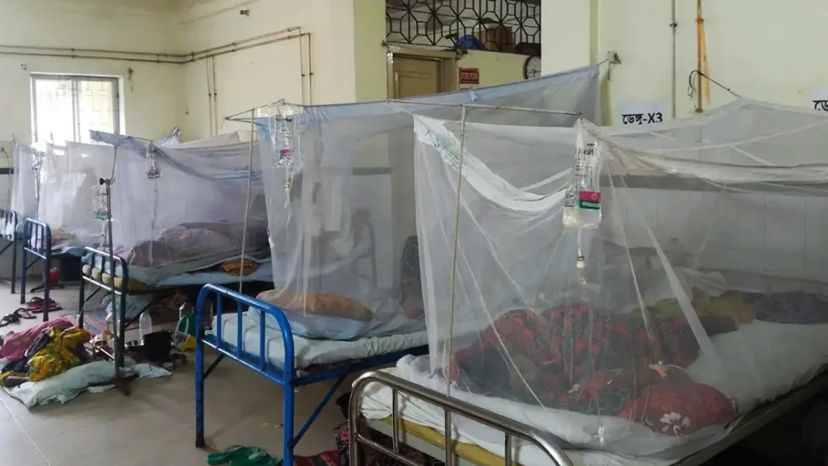 ডেঙ্গুতে আরও ১০ জনের প্রাণহানি, হাসপাতালে ভর্তি ১৯৪৩
